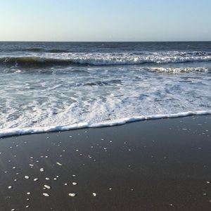 Meet your Posher, Kaitlyn